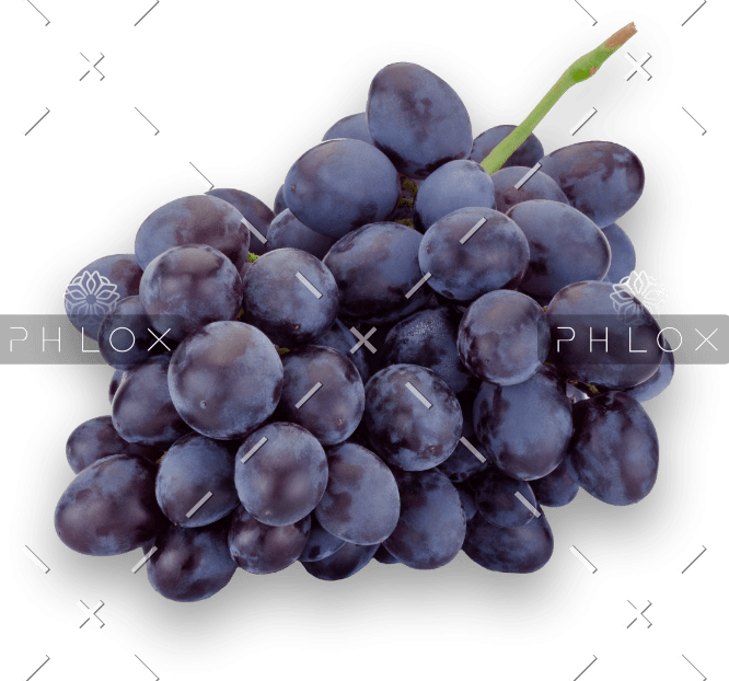 demo-attachment-489-fresh-blue-grapes-isolated-on-a-white-background-PHBB52U